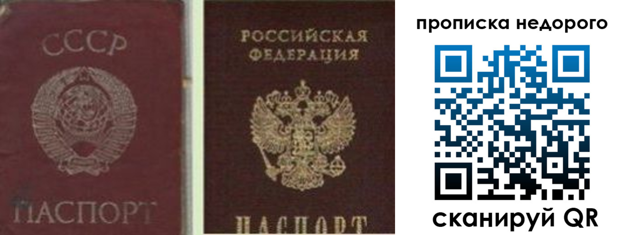 временная регистрация поиск в Моршанске